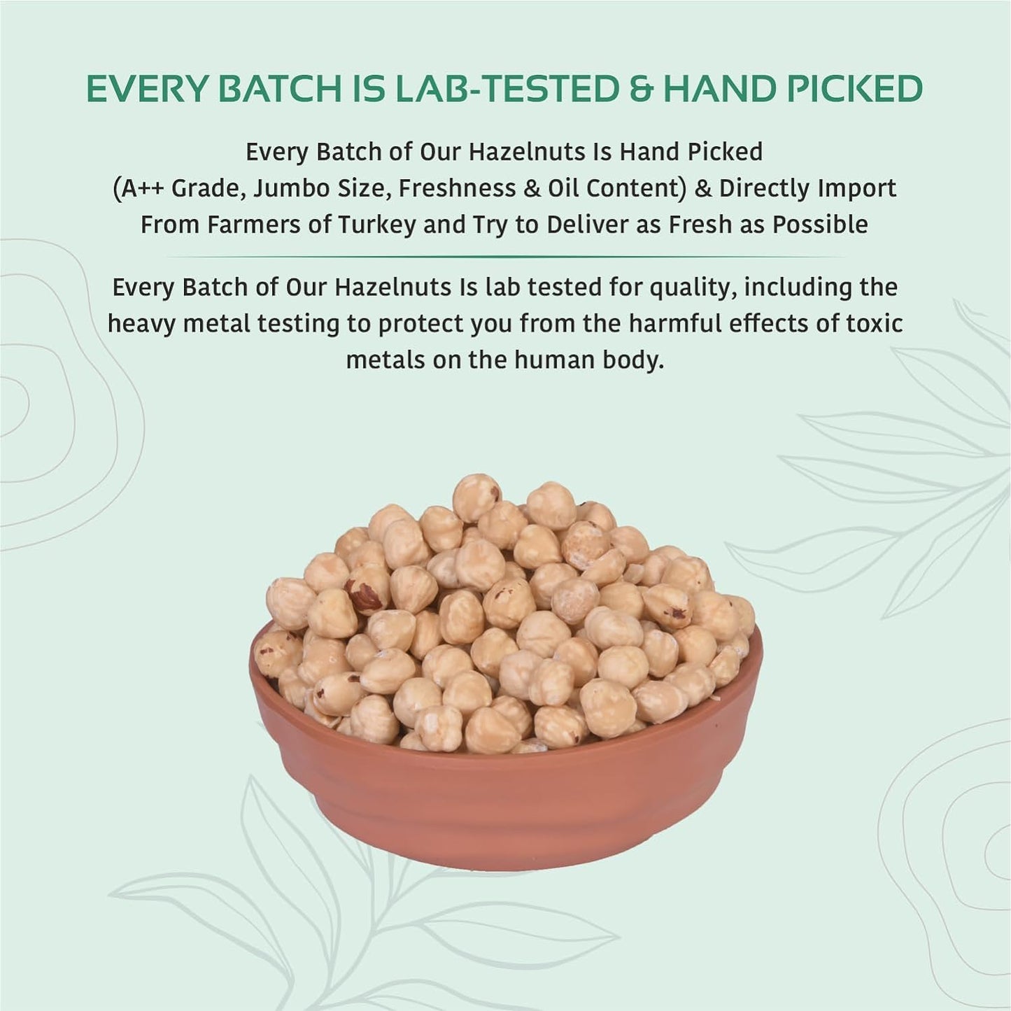 Premium Unsalted Hazelnuts | Crunchy & Rich in Omega-3 and Antioxidants