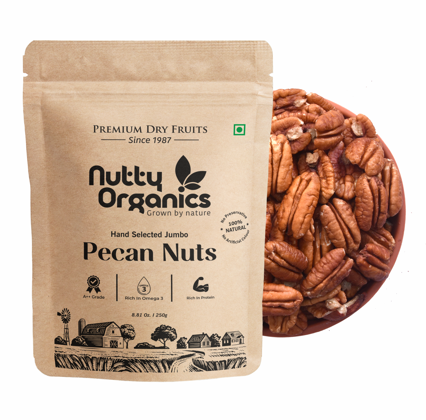 Premium Dried Pecan Nuts | Preservative-Free | High in Protein & Fiber