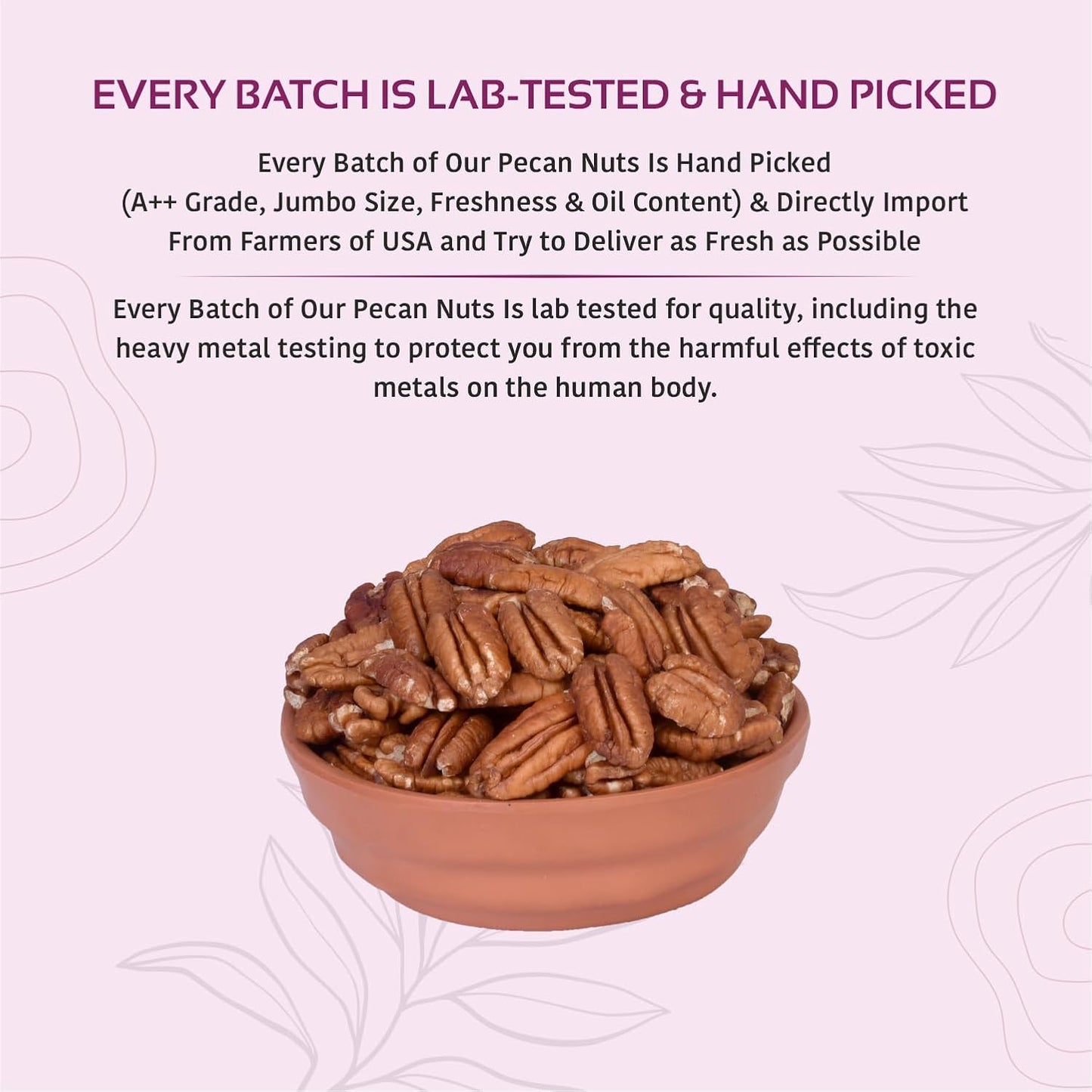 Premium Dried Pecan Nuts | Preservative-Free | High in Protein & Fiber