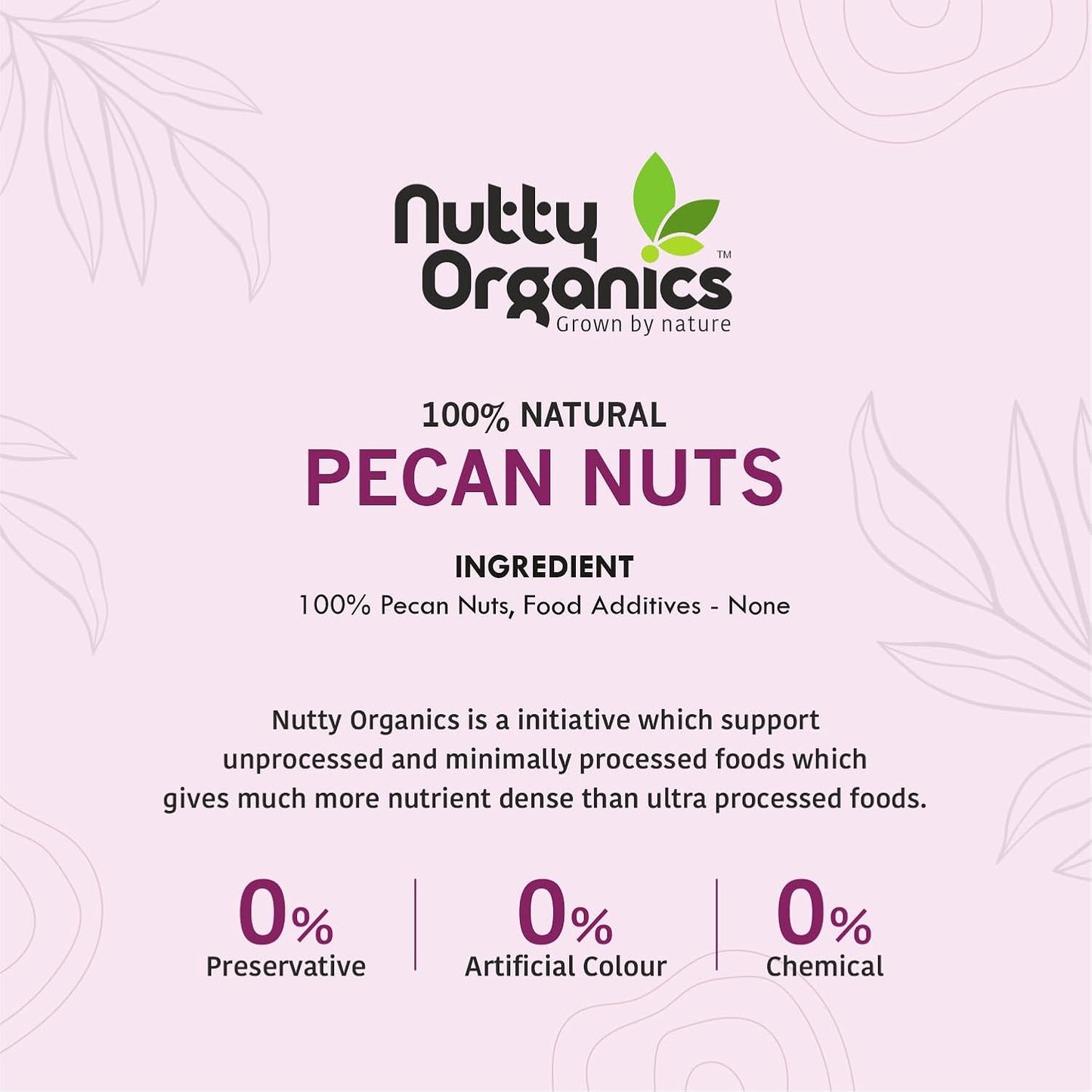 Premium Dried Pecan Nuts | Preservative-Free | High in Protein & Fiber