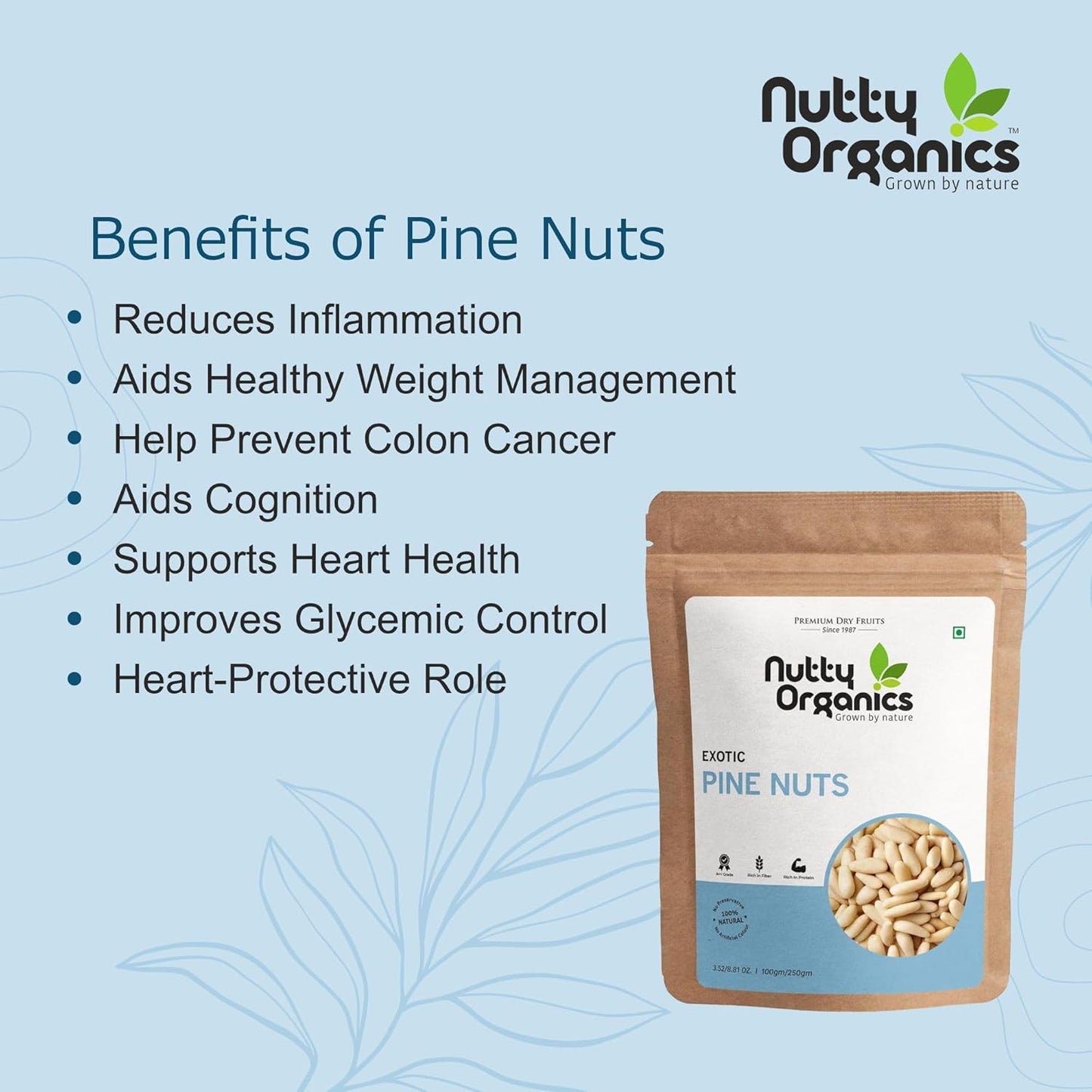 100% Natural Exotic Pine Nuts | Jumbo Chilgoza Seeds | Rich in Protein & Fiber