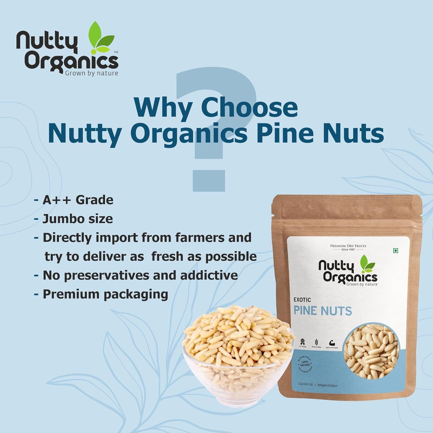 100% Natural Exotic Pine Nuts | Jumbo Chilgoza Seeds | Rich in Protein & Fiber