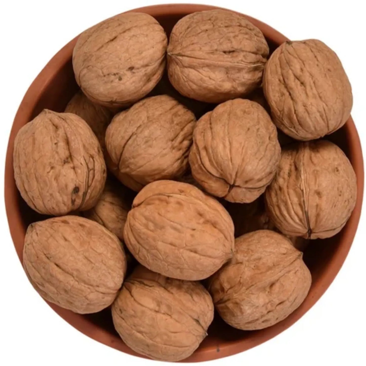 Walnuts In-shell | Jumbo Size Akhrot Saboot